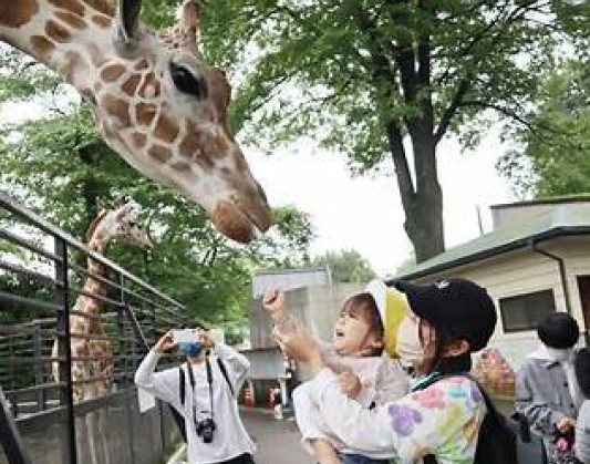 福岡市動物園支援